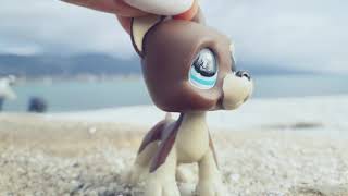 ❌Lps mv: moonlight ❌
