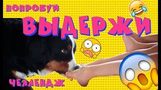 ПОПРОБУЙ ВЫДЕРЖИ ЧЕЛЛЕНДЖ ? Такого вы еще не видели!