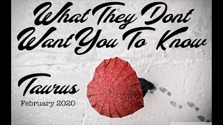 TAURUS ♉️ | SECRET PLANS | WHAT THEY DONT WANT YOU TO KNOW