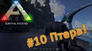 Притамим птеро! Ark: Survival Evolved выживание и прохождение #10 Карта The Center