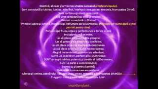 Meditatie deschiderea, alineerea, si echilibrarea  chakrelor - 12'