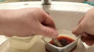 ХИМИЧЕСКИЕ ПРЕПАРАТЫ жидкость насыщенная серебром, часть 2