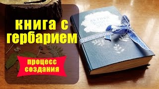 Как я делала книгу с летним гербарием ✦ Шоколапкины Рукоделия ✦
