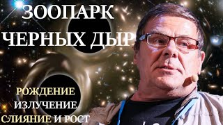 БОРИС ШТЕРН: Зоопарк черных дыр. Рождение -Излучение -Слияние -Рост черных дыр. | Лекция Борис Штерн