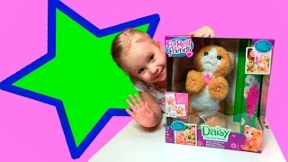 Интерактивная кошка Дэйзи, Игривый котенок, кошка робот / Fur Real Friends Daisy