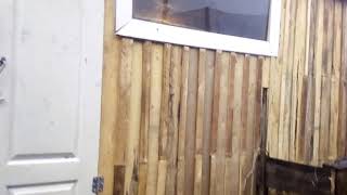 Простой дешевый телятник/ новый сарай/ жизнь в деревне/cheap farm