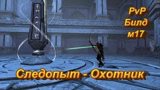Neverwinter Online/ PvP билд Следопыт - Охотник/ M17