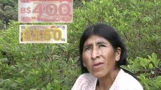 Viajeros Terrestres--3-Bolivia-los yungas-2