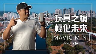 【WRGO】DJI Mavic Mini 新手必看 / 遊走法規邊緣的迷你空拍機 #老手體驗與評測