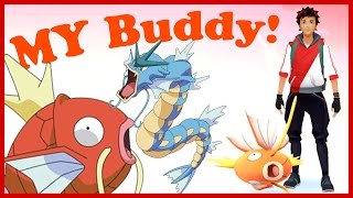 Pokémon Go - My Buddy the Magikarp! NEW BUDDY UPDATE! Road to a max Gyarados Pt.1!
