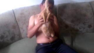 MENEA TU CHAPA ANIMAL CASI PORNO