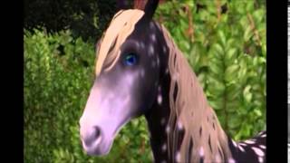 Wrong Love episode 12 (Sims 3 pets story)
