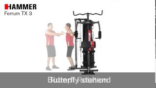 Фитнес станция Hammer Ferrum TX3