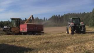 Combine Harvester working in Finland. 2013 Puintia Siilinjärvellä. New Holland