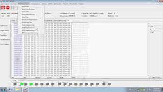 DFL WD Firmware Repair Version 2.63 Quick Video Demo
