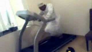 Arabi pe stepper - www.bestoftheweb.ro