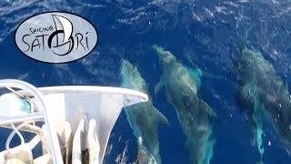 Gulf Stream Crossing! (Sailing Satori) S2:E1