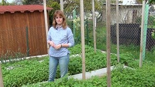 Готовим грядки к посадкам