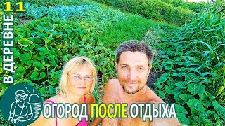 Что случилось с огородом пока мы отдыхали на море Жизнь Гордеевых в деревне - Влог 11