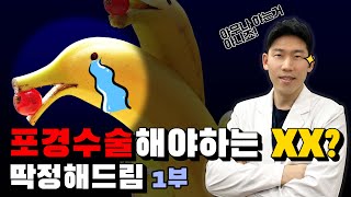 포경수술 해야하는 XX?(feat.볼륨을 만드는 포경) - 포경수술 1편