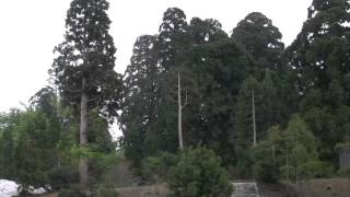 立山黒部アルペンルーの旅４　室堂　雷鳥荘付近～立山駅