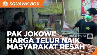 Masyarakat Resah, Jokowi Siap Tekan Harga Telur!