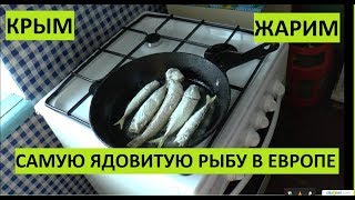 Крым. Едим самую ядовитую рыбу в Европе. Дракон.