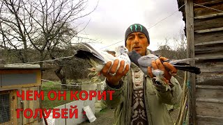 НИКОЛАЕВСКИЕ  ЛЕТНЫЕ ГОЛУБИ !