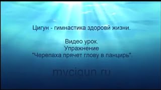 Видео урок. Упражнение "Черепаха прячет голову в панцирь". Гимнастика Цигун