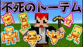マイクラなのに 不死のトーテムの種類がたくさん増えた!!【赤髪のとも/あかがみん】