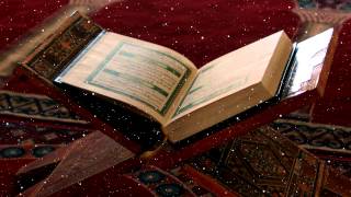 Quran #4 - Free Background Clips