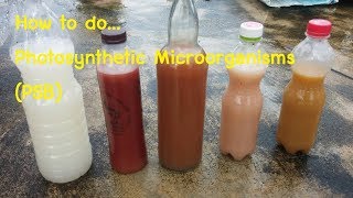 How to do photosynthetic microorganisms  (PSB)
