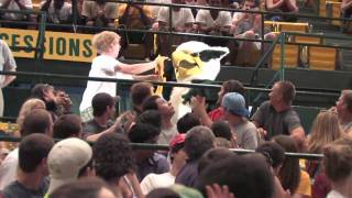 [Archive] W&M's Griffin: The Tribe embraces its new mascot