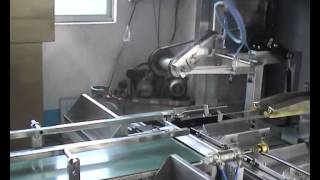 SF-ASP3 auto screen printer
