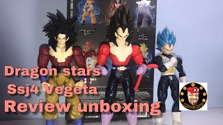 Dragon Stars Super Saiyan 4 Vegeta Review
