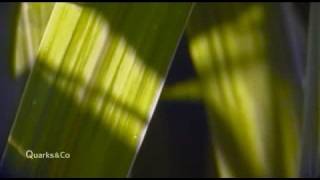 Quarks & Co - Was tanken wir in Zukunft? 2/5