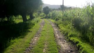 San Pedro Tidaá