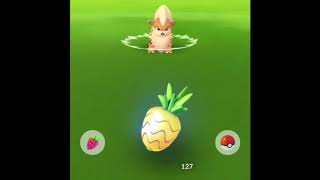 Celebi Quest: A Ripple In Time 6/8 Complete!