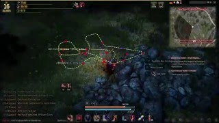 MMOViper BDO Bot - Black Desert Bot in Action