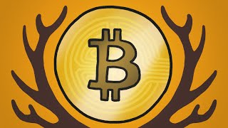 Why Bitcoin Is Like Reindeer Mating