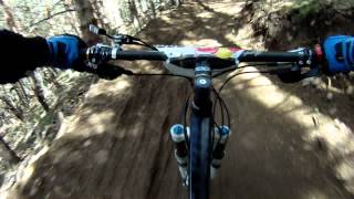 javi Dh Red bull