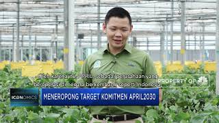 APRIL2030, Target Besar Pembangunan Keberlanjutan Ala APRIL Group