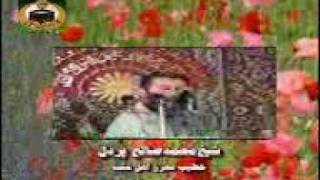 Mohammad Saleh Pordel (محمد صالح پردل)