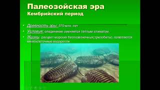 Биология. 9 класс. Этапы развития жизни на Земле. Людмила Ивановна. Profi-Teacher.ru