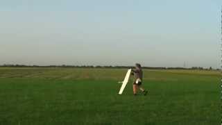 Fling dlg,Bug dlg