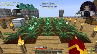 Project Ozone. Серия 12 # Выращиваем эссенцию