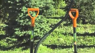 Plantare Arbori si Arbusti