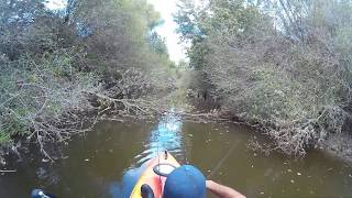 Sister Grove Creek at Lavon