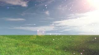 Футаж Фон Природы Золотое Поле в Лучах и Бликах видео фон для слайд-шоу
