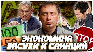 Цены на электричество в Европе устанавливают рекорды| Фермеры уничтожают посевы.Новости